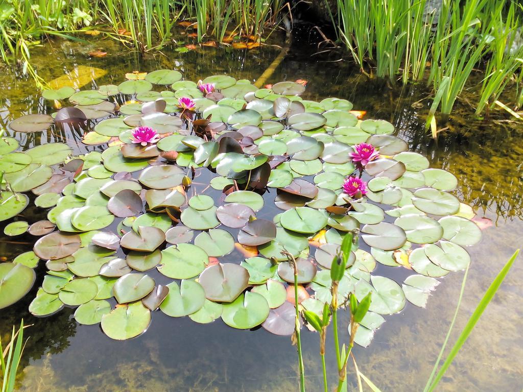 K3 Ferienhaus Strobl Kültér fotó